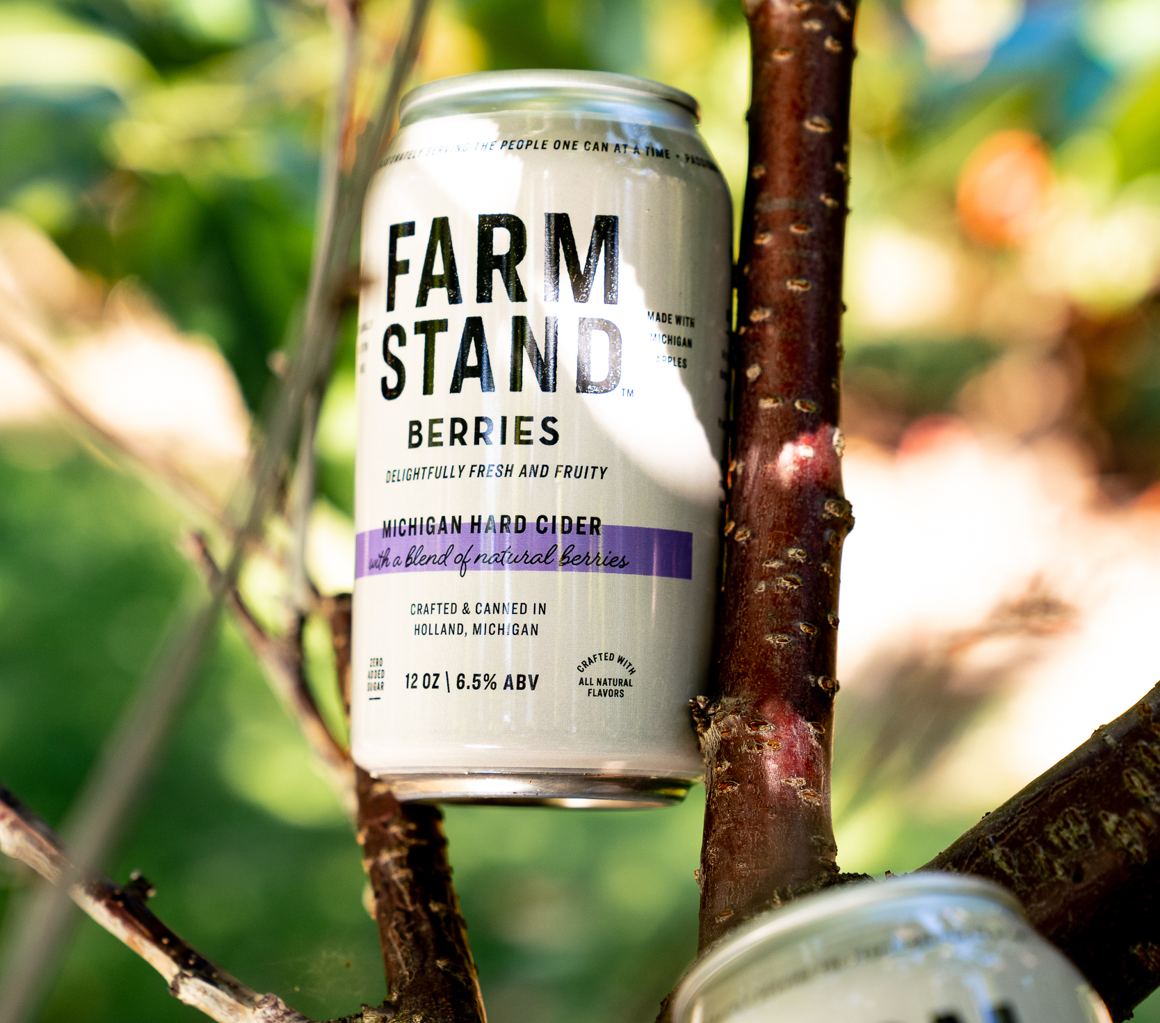 Farmstand blueberry hard cider in a tree for blueberry season in michigan